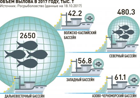 Икра по правилам. Маркировку красной и черной икры могут ввести в 2019 году