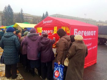 «Бегемот» на губернаторской ярмарке. ФОТО